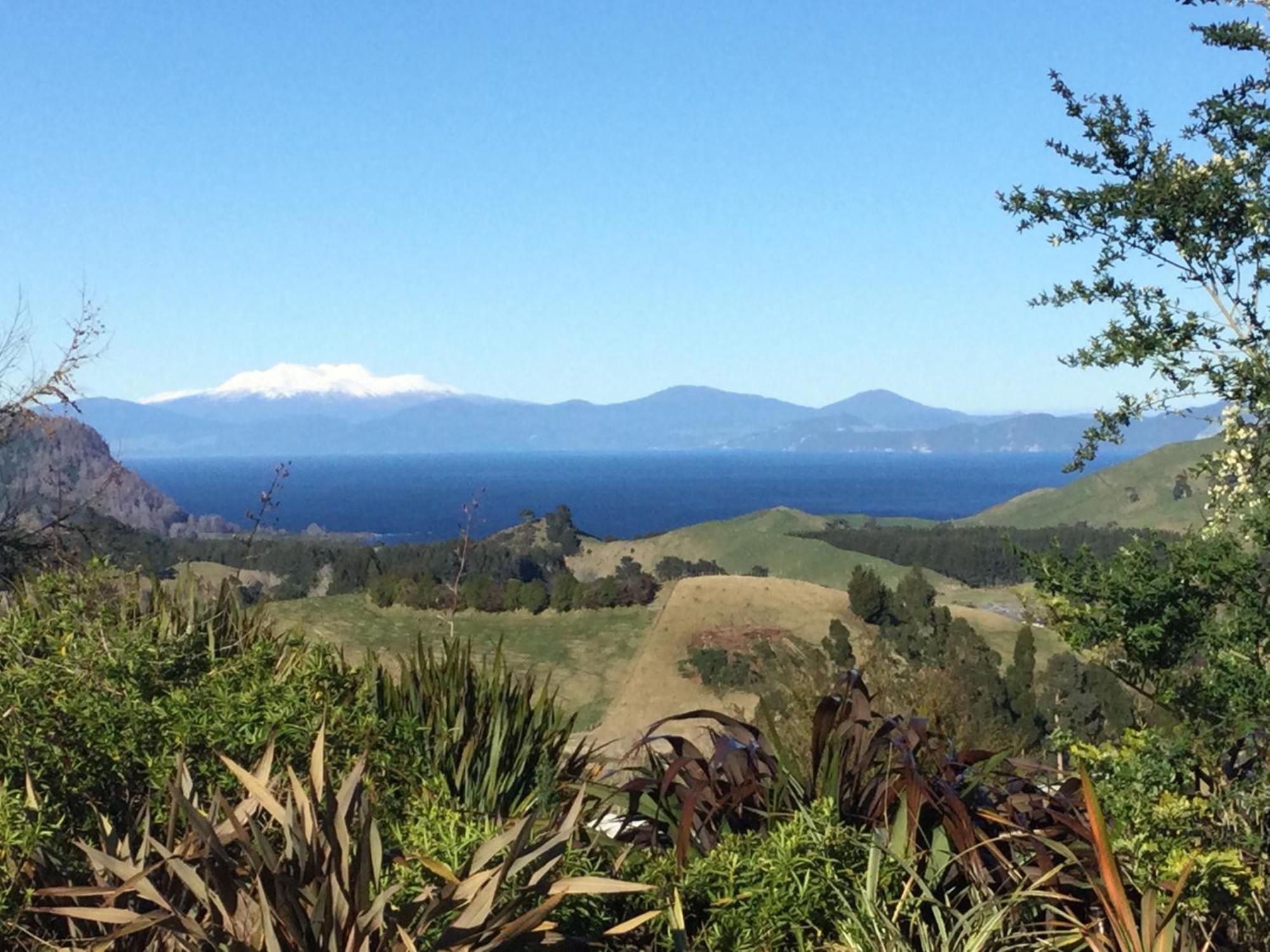 Whakaipo Bay Cabin Retreat Taupo别墅 外观 照片